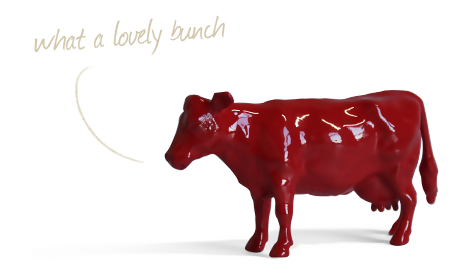 creative cow